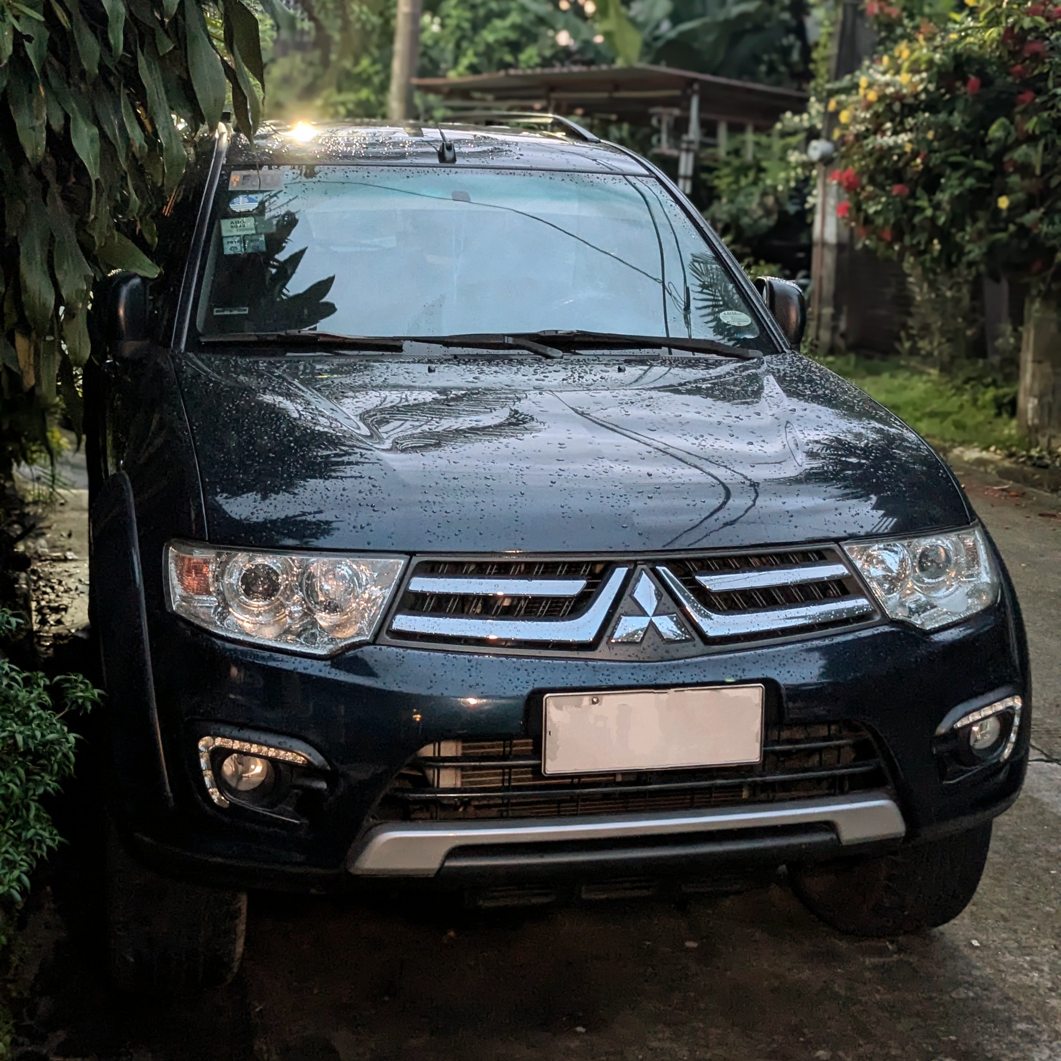 Mitsubishi Montero Sport GLS SE Limited Edition 2015